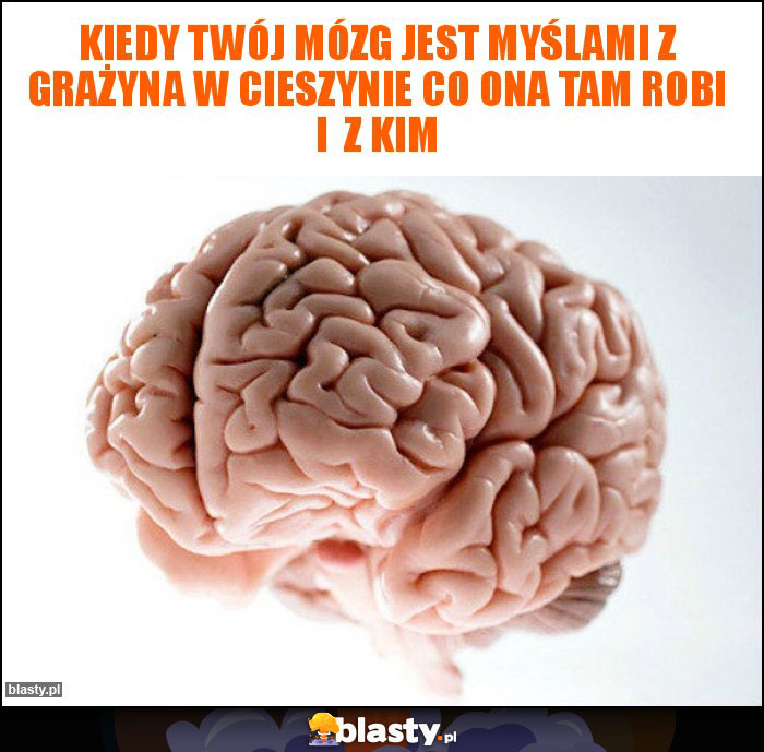 Kiedy twój mózg jest myślami z Grażyna w Cieszynie co ona tam robi i z kim Kiedy twój mózg jest myślami z Grażyna w Cieszynie co ona tam robi i z kim