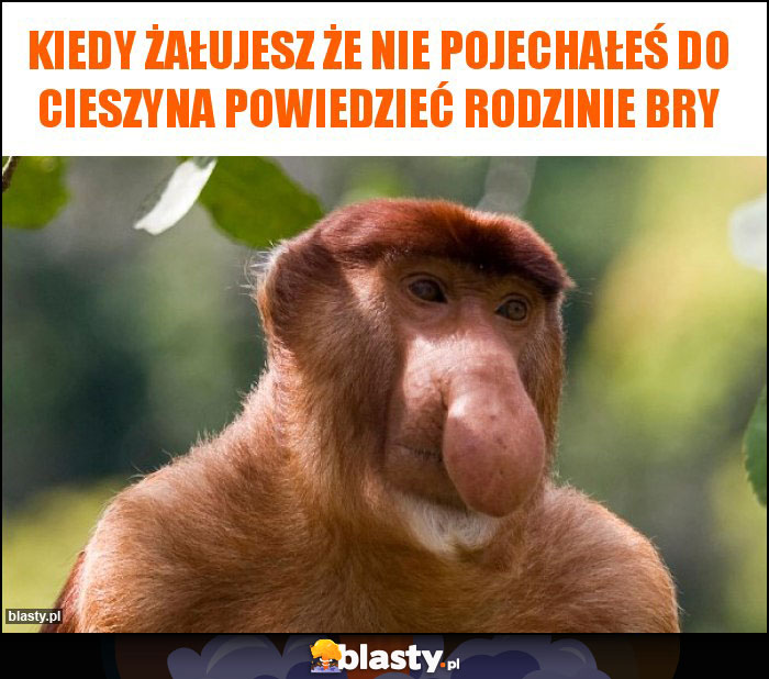 Kiedy żałujesz że nie pojechałeś do Cieszyna powiedzieć rodzinie Bry Kiedy żałujesz że nie pojechałeś do Cieszyna powiedzieć rodzinie Bry