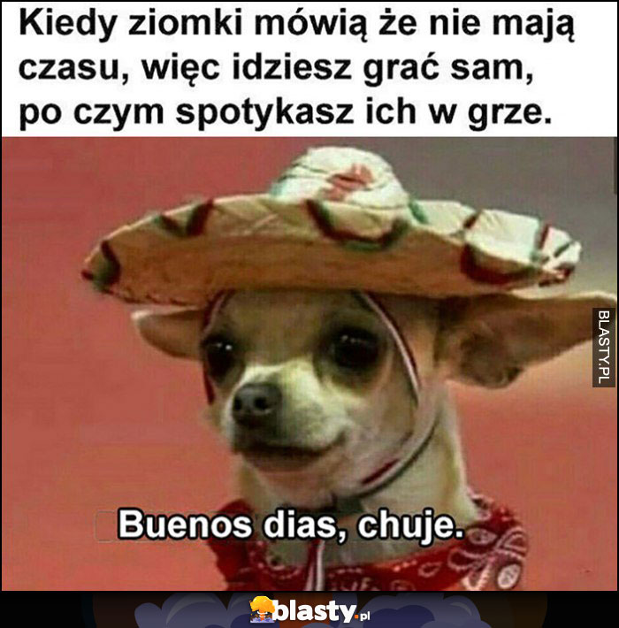 Kiedy ziomki mówią, że nie mają czasu, więc idziesz grać sam, po czym spotykasz ich w grze, buenos dias chamy piesek