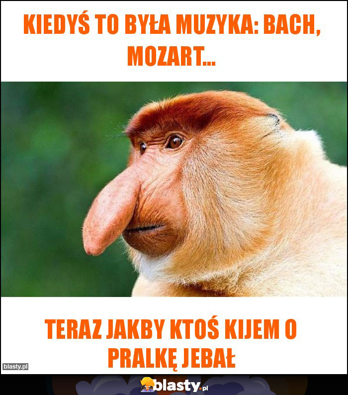 Kiedyś to była muzyka: Bach, Mozart... Kiedyś to była muzyka: Bach, Mozart...