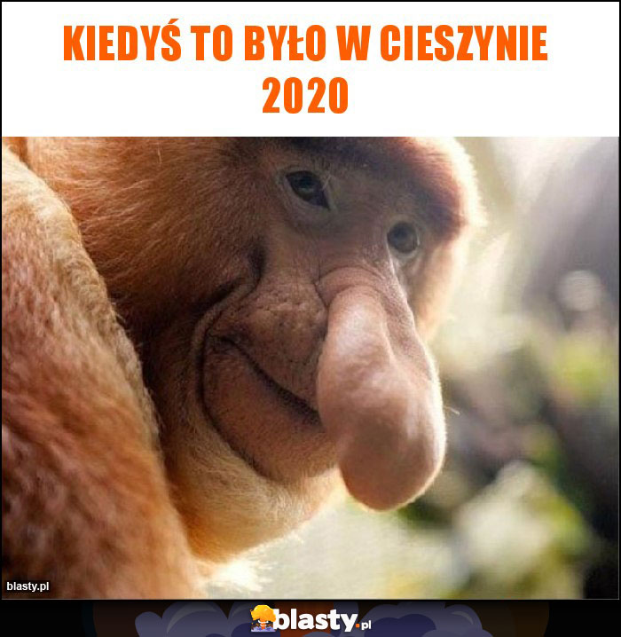 Kiedyś to było w Cieszynie 2020 Kiedyś to było w Cieszynie 2020