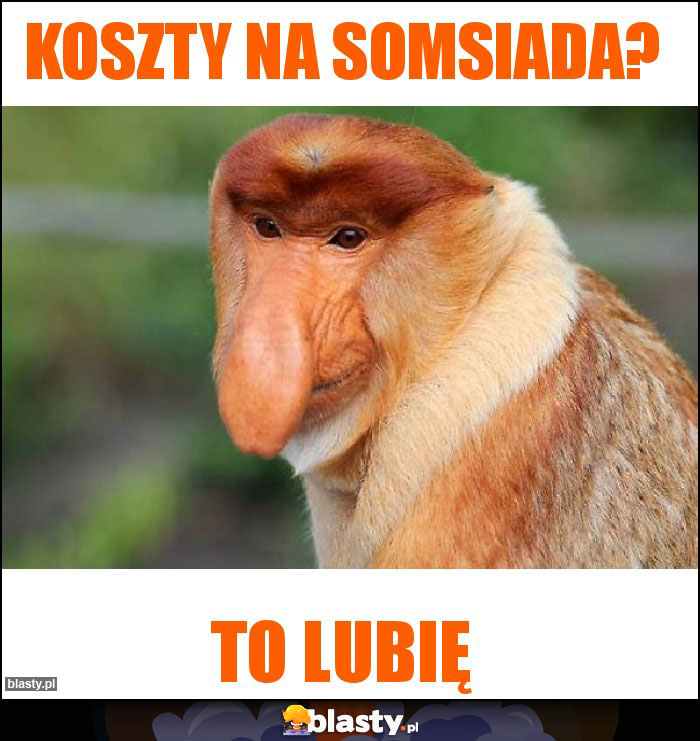 KOSZTY NA SOMSIADA? KOSZTY NA SOMSIADA?