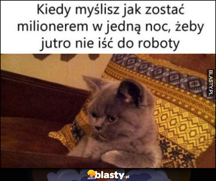 Kot kiedy myślisz jak zostać milionerem w jedną noc, żeby jutro nie iść do roboty