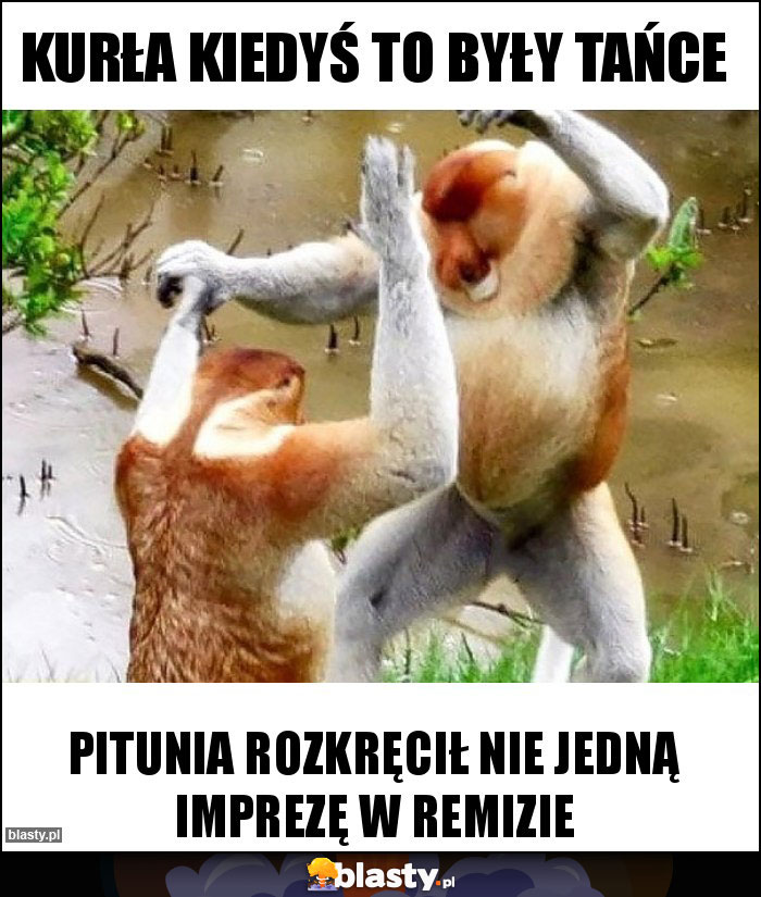 Kurła kiedyś to były tańce Kurła kiedyś to były tańce