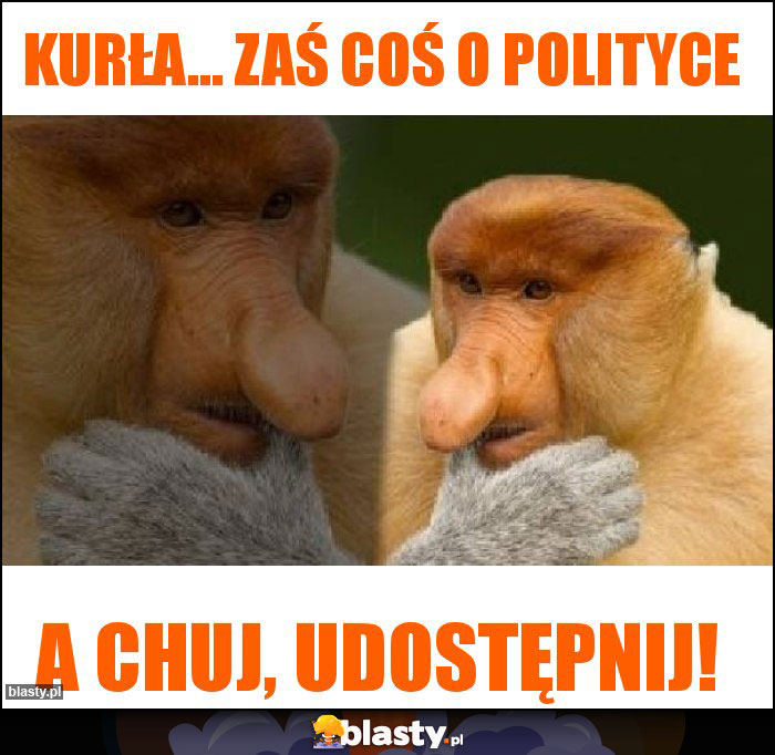 Kurła... Zaś coś o polityce Kurła... Zaś coś o polityce