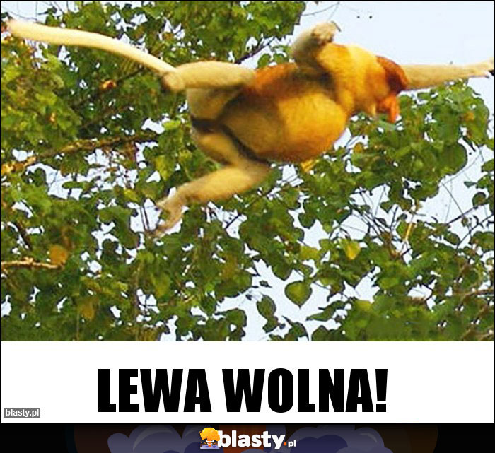 Lewa wolna! Lewa wolna!