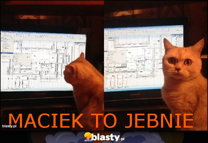 Maciek To jebnie Maciek To jebnie