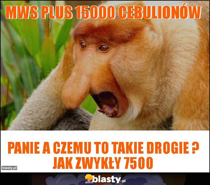 MWS plus 15000 cebulionów MWS plus 15000 cebulionów
