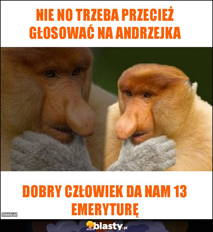 Nie no trzeba przecież głosować na andrzejka Nie no trzeba przecież głosować na andrzejka