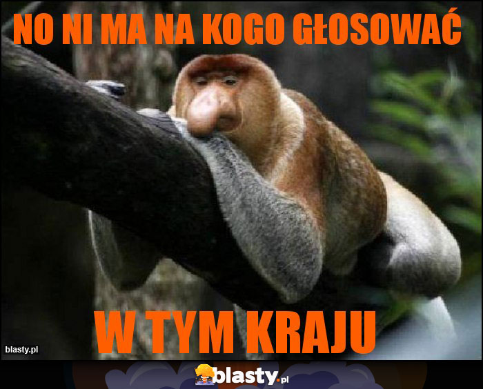 No ni ma na kogo głosować No ni ma na kogo głosować