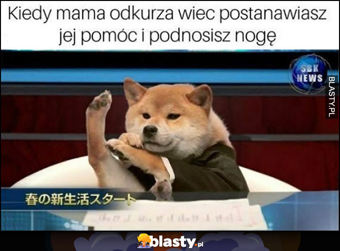 Pieseł doge kiedy mama odkurza więc postanawiasz jej pomóc i podnosisz nogę