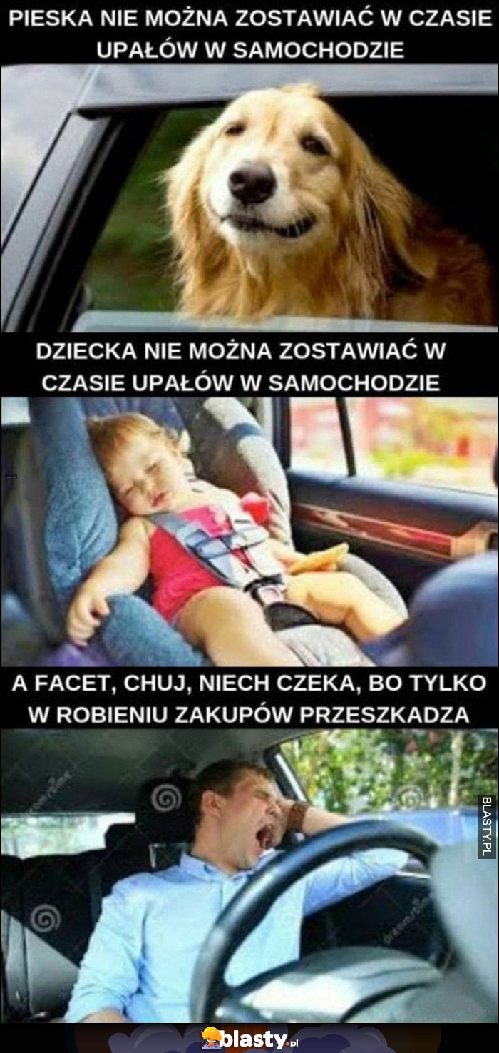 Pieska, dziecka nie można zostawiać w czasie upałów w samochodzie, a facet niech czeka bo tylko w robieniu zakupów przeszkadza