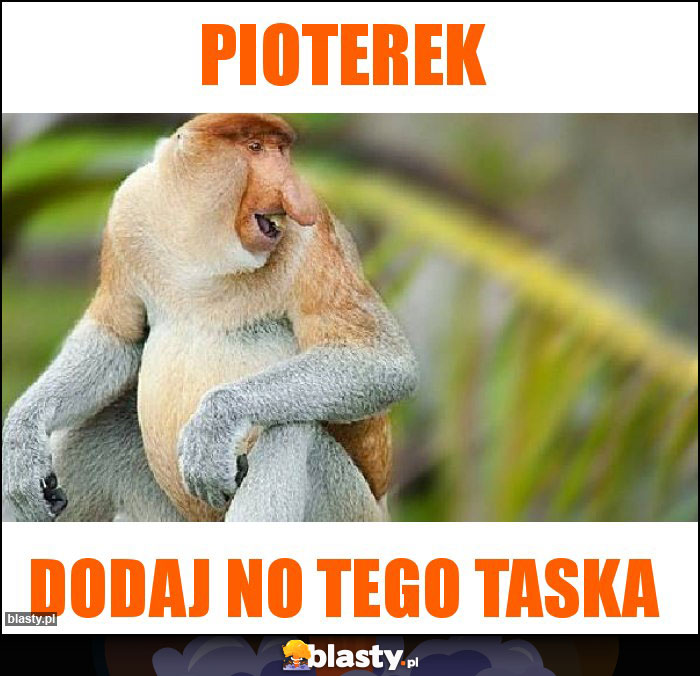 Pioterek