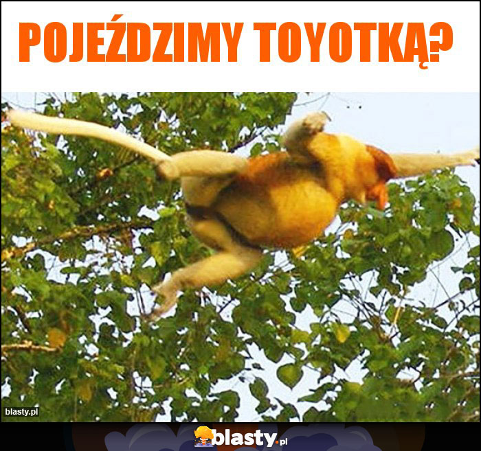 pojeździmy toyotką? pojeździmy toyotką?