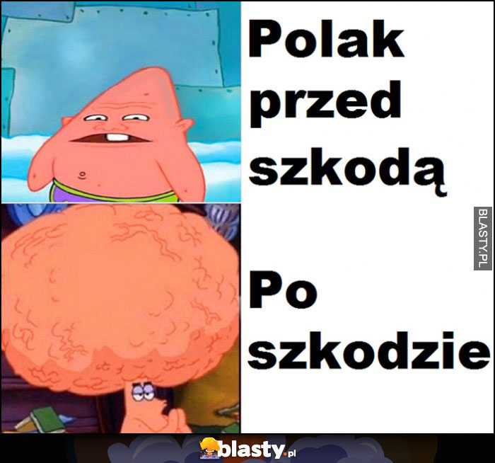 Polak przed szkodą vs Polak po szkodzie mózg porównanie Spongebob