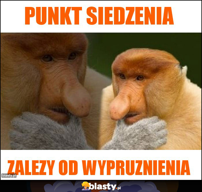 Punkt siedzenia Punkt siedzenia