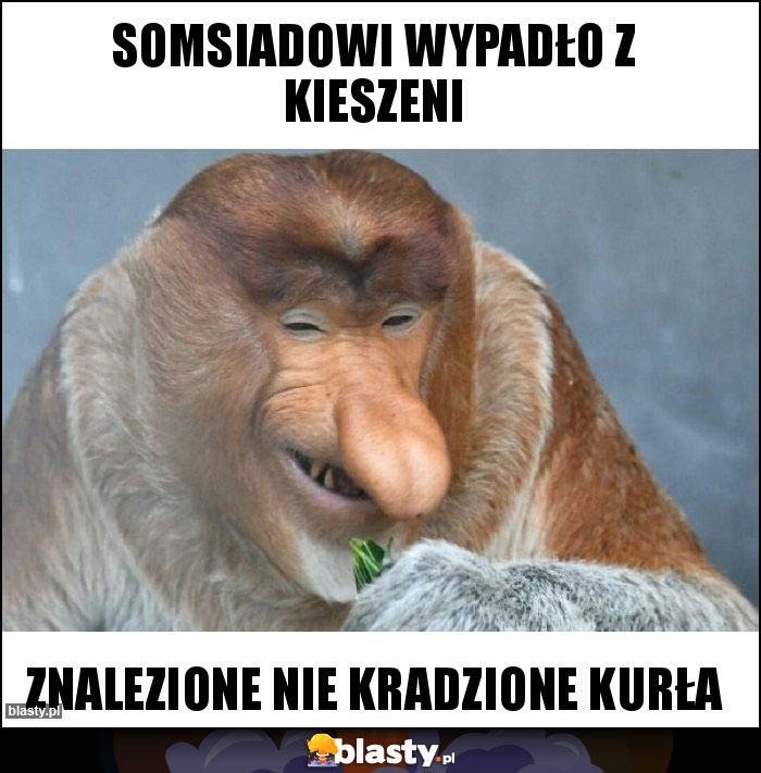 SOMSIADOWI WYPADŁO Z KIESZENI SOMSIADOWI WYPADŁO Z KIESZENI