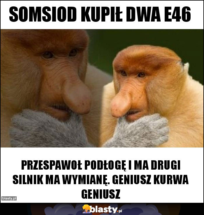 Somsiod kupił dwa e46 Somsiod kupił dwa e46