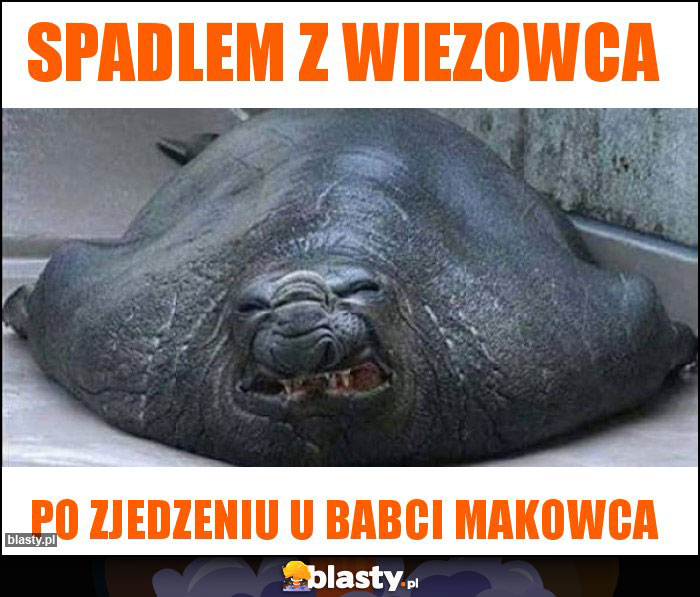 Spadlem z wiezowca Spadlem z wiezowca
