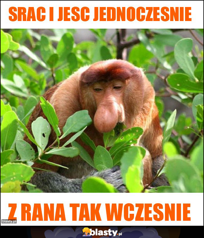 Srac i jesc jednoczesnie Srac i jesc jednoczesnie