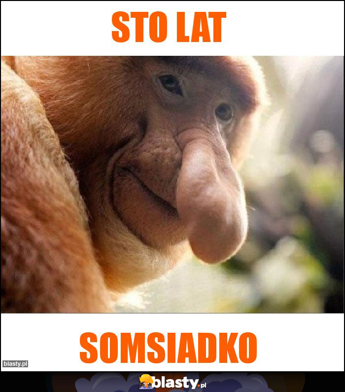 STO LAT