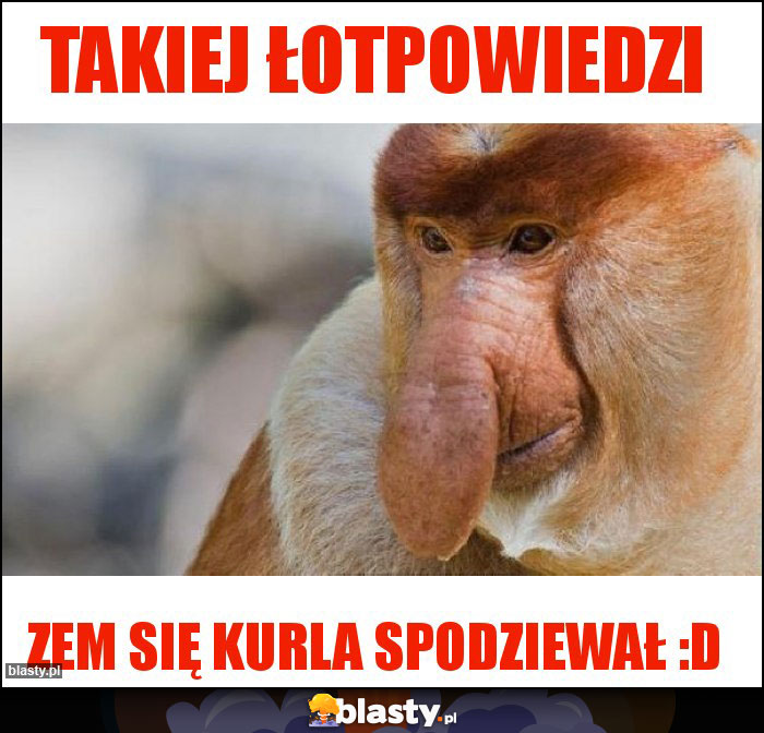 Takiej łotpowiedzi Takiej łotpowiedzi