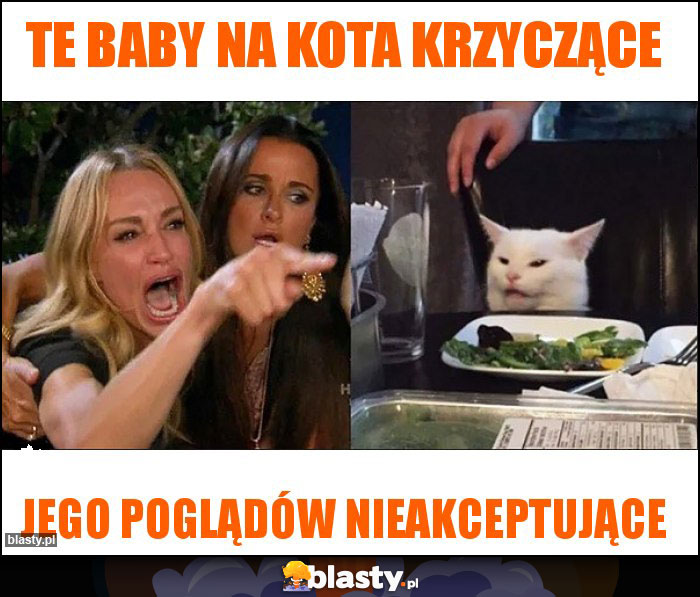 te baby na kota krzyczące te baby na kota krzyczące