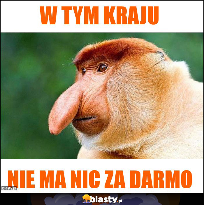 W TYM KRAJU W TYM KRAJU