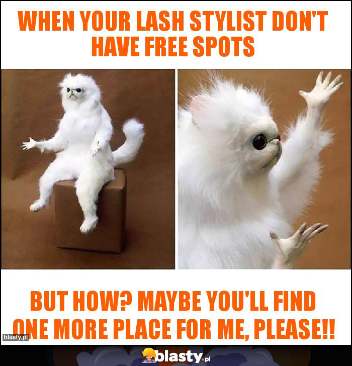 When your lash stylist don't have free spots When your lash stylist don't have free spots