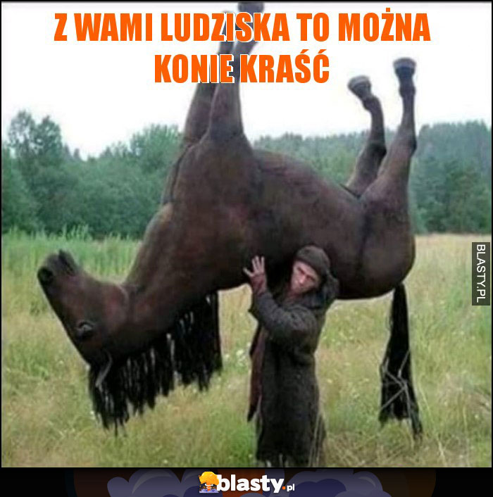 Z WAMI LUDZISKA TO MOŻNA KONIE KRAŚĆ Z WAMI LUDZISKA TO MOŻNA KONIE KRAŚĆ