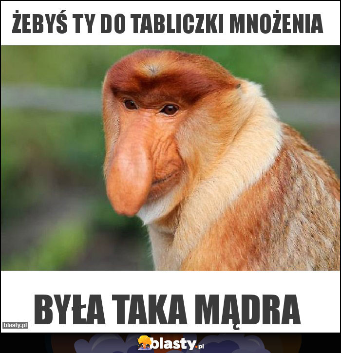 Żebyś Ty do tabliczki mnożenia Żebyś Ty do tabliczki mnożenia