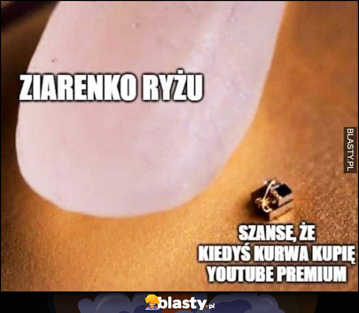 Ziarenko ryżu, szane, że kiedyś kupię YouTube premium