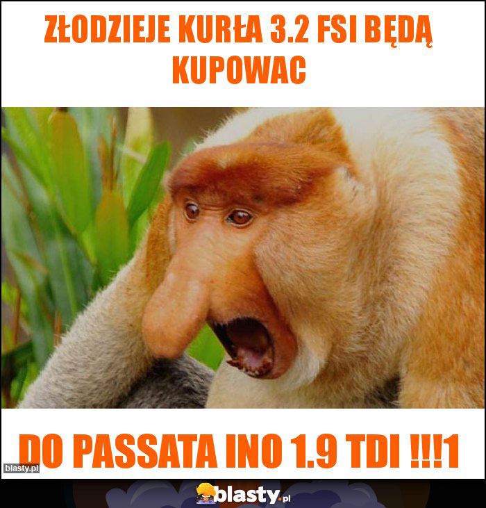 Złodzieje kurła 3.2 fsi będą kupowac Złodzieje kurła 3.2 fsi będą kupowac