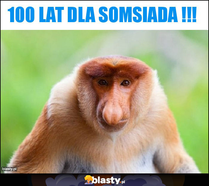 100 LAT DLA SOMSIADA !!! 100 LAT DLA SOMSIADA !!!