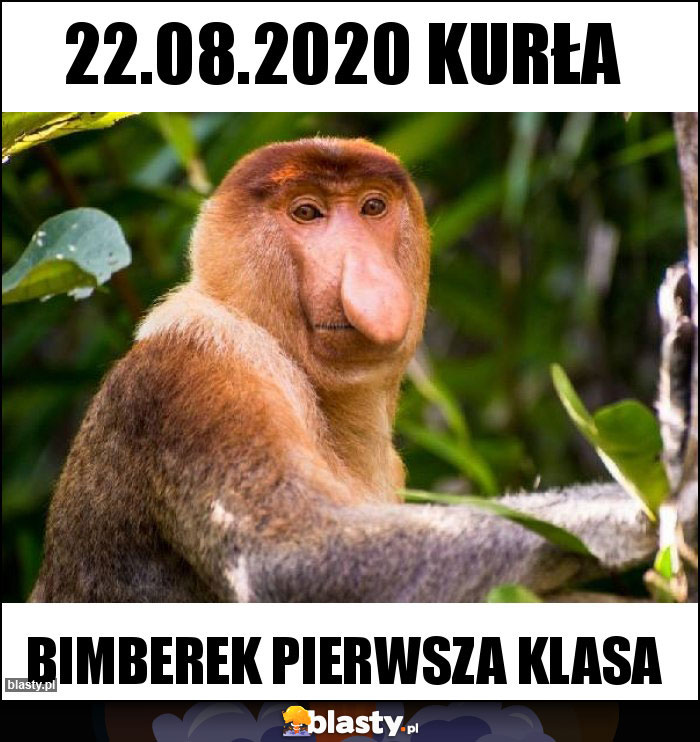 22.08.2020 KURŁA 22.08.2020 KURŁA