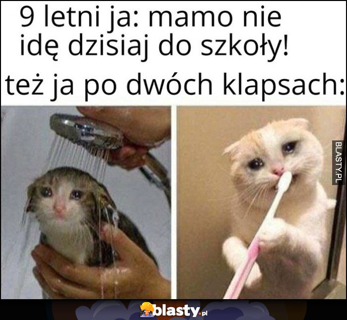 9 letni ja: mamo, nie idę dzisiaj do szkoły. Też ja po dwóch klapsach: smuty kot myje zęby