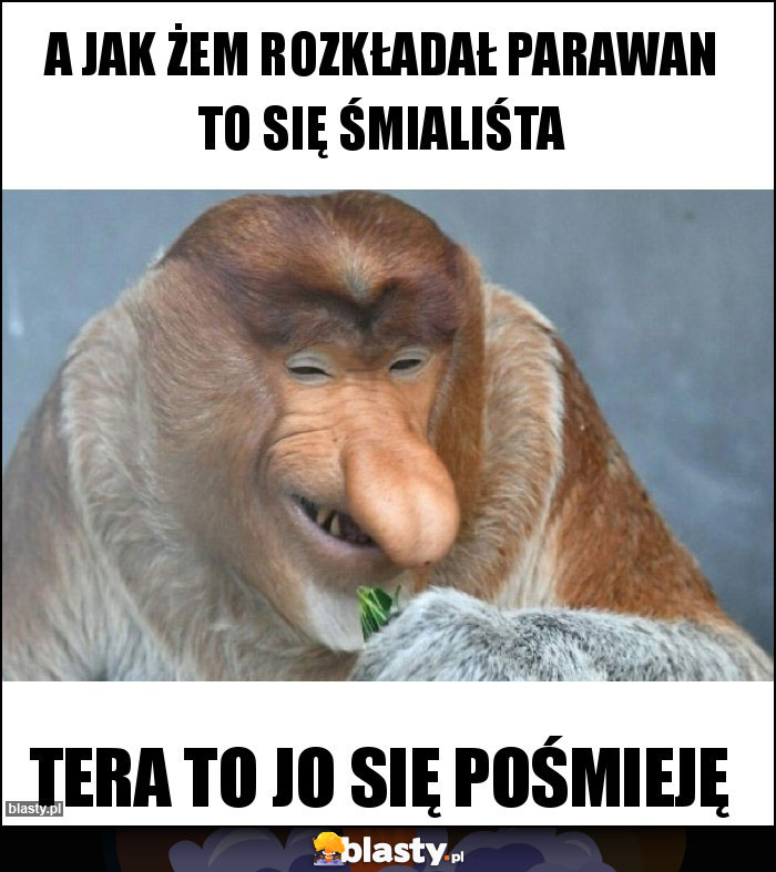 A JAK ŻEM ROZKŁADAŁ PARAWAN TO SIĘ ŚMIALIŚTA A JAK ŻEM ROZKŁADAŁ PARAWAN TO SIĘ ŚMIALIŚTA