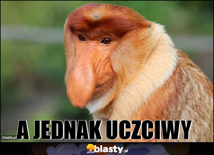 A jednak uczciwy A jednak uczciwy