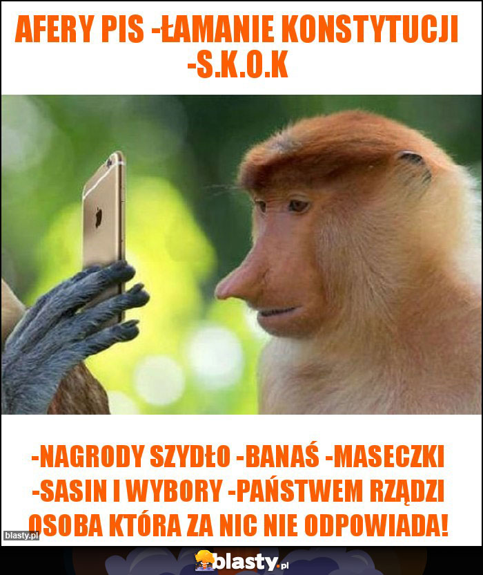 AFERY PIS -Łamanie konstytucji -S.K.O.K AFERY PIS -Łamanie konstytucji -S.K.O.K