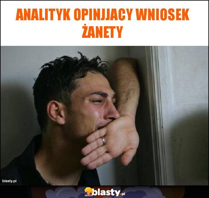 Analityk opinjjacy wniosek Żanety Analityk opinjjacy wniosek Żanety