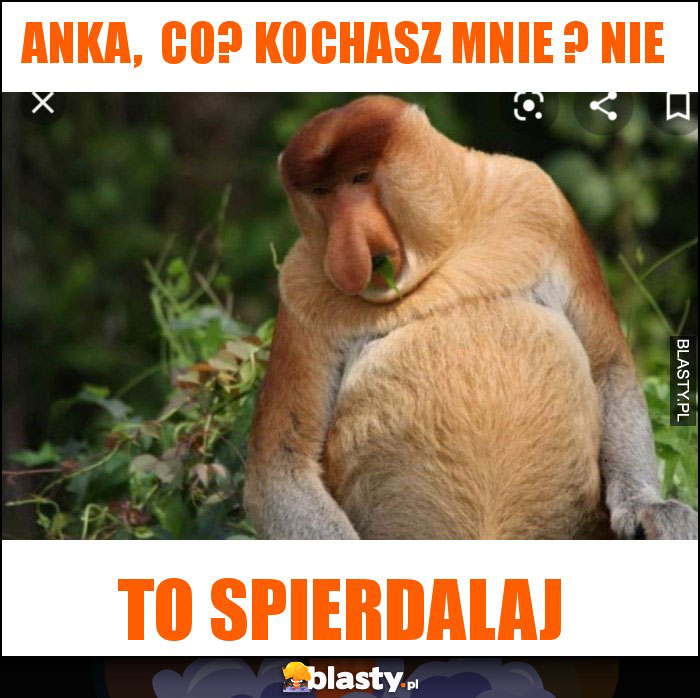 Anka, Co? Kochasz mnie ? Nie Anka, Co? Kochasz mnie ? Nie