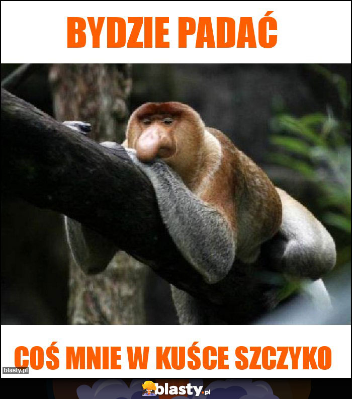 Bydzie padać Bydzie padać