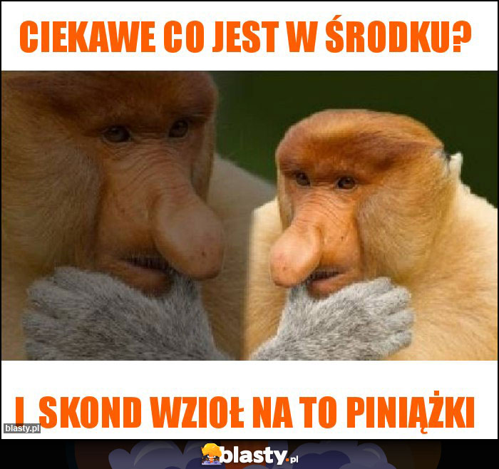 Ciekawe co jest w środku? Ciekawe co jest w środku?