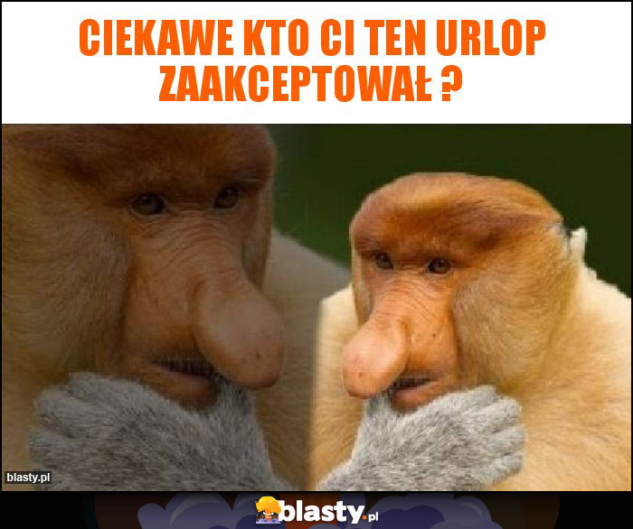 Ciekawe kto Ci ten urlop zaakceptował ? Ciekawe kto Ci ten urlop zaakceptował ?