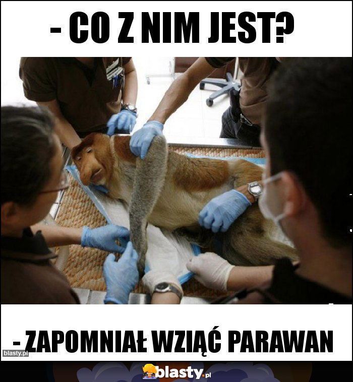- Co z nim jest? - Co z nim jest?