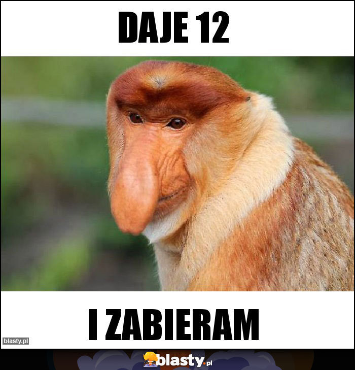 Daje 12