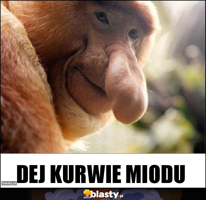 Dej kurwie miodu Dej kurwie miodu