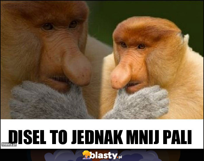Disel to jednak mnij pali Disel to jednak mnij pali