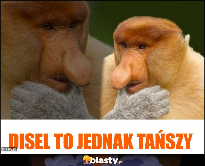 Disel to jednak tańszy Disel to jednak tańszy