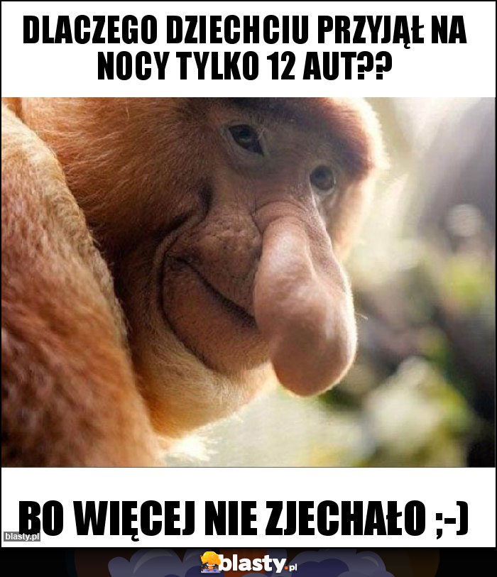 DLACZEGO DZIECHCIU PRZYJĄŁ NA NOCY TYLKO 12 AUT?? DLACZEGO DZIECHCIU PRZYJĄŁ NA NOCY TYLKO 12 AUT??